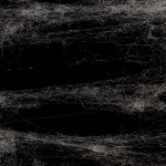 골든울 양쾌한숙면2종세트 사계절차렵 양모플러피토퍼 (세탁망증정) : 골든울-GoldenWool