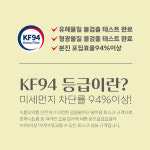 [유통기한25년7월까지] 휴그린 퓨어엣지 KF94 대형 새부리형 마스크 100매 개별포장 : 걸리버인쇄