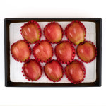 설 설날 명절선물 혼합 과일선물세트 사과 배 레드향 곶감 : 고 씨네농장