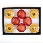 명절 과일선물세트 사과 배 곶감 천혜향 레드향 : 고 씨네농장