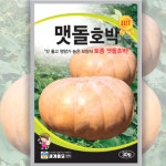 맷돌호박 30립 씨앗 /  호박씨 채소심기 주말농장 호박키우기 텃밭 맷돌호박키우기 : 팜가든랜드