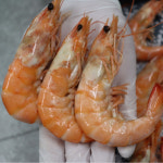 서천 서해안 자연산 대하 1kg (중 상 특 왕) 왕새우 큰새우 국내산새우 : 행복식탁