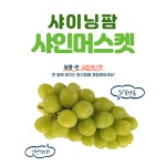 신문기사에도 나온 농업전문가와 청년농부가 기른 당도 18브릭스 이상 샤인머스캣 : 샤이닝팜