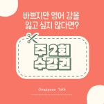 주2회 화상회화 3개월 : 원스푼톡