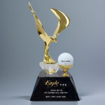 백상어워드 골프트로피 홀인원 이글패 싱글패 대회 트로피 01 : 백상어워드