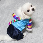 강아지 한복 색동 고양이한복 애견 S : 도기코디