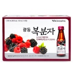 광동제약 광동 복분자 100ml x 10병 싱그러운 복분자에 올리고당으로 더 건강하게 : 다나아팜