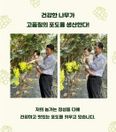 [프리미엄 추석 선물세트] 산지직송 고당도 샤인머스켓(망고포도) : 포동포도농장