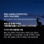 대웅 흑염소 진액 파우치 100%국내산 흑염소&17가지 전통원료 30포 : 넛츄