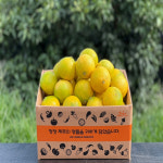 황금향 귤한박스 제주 2.5kg 4.5kg : 참새농수산