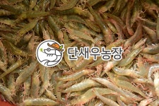 제철 HACCP인증 왕새우 급속냉동 흰다리새우 대하 고창 산지직송 단새우농장 : 단새우농장