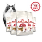 [유통26.10] 로얄캐닌 고양이 사료 피트 (휘트) 1.2kg : 강아지왕국 고양이왕국