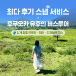 후쿠오카 유후인 일일 버스투어 여행 온천 유후다케 히타 다자이후 : 인디고트래블