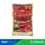 [영양농협] 25년산 국내산 안심영양 햇 고춧가루 500g : 농협NH팜 스토어