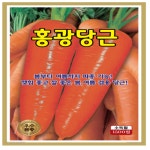 당근 씨앗 홍광당근 1500립 1봉 : 갈바람