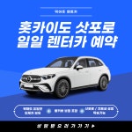 일본 북해도 일일렌트카 (풀커버 보험 포함) 삿포로/홋카이도/신치토세 공항 탁송 가능 : 주식회사 덕아웃