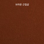 도마뱀바닥재 크레사육장 크레스티드게코 사육장 : 도룡이