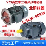 순수 구리 3 상 비동기 모터 가변 주파수 380v1 15/18.5 22 30 37/45 5575kw90kW : TransPacific