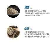 멸치선물 통영멸치 남해멸치 세트 선물용 : 나눔365