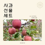 엘림농원 프리미엄 선물세트5kg : 주식회사 바다레시피