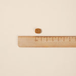 로얄캐닌 캣 유리너리 케어 2kg 요로 비뇨계건강 고양이 반려 애묘 실내묘 : 아지유통