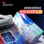 ADATA ASUS Fuxue 메인보드 ROG Lancer DDR5 32G RGB 32G(16Gx2)D500G+S70B 1T : 코암트레이딩