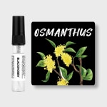 [3+1] 금목서 10종 4ml 고농축 드레스 향수 선물 포장 : 블랙하비