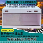 파충류 케이지 도마뱀 육지거북 곤충 파충류장 절지류 : 로버베이글로벌