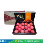 사과 문경 선물세트 추석 홍로 햇사과 농협 5KG : 문경시조합농산몰