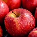 프리미엄 홍로 사과 선물세트 5kg 14과 청송 안동 : 주연홈쇼핑