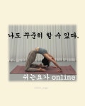 온라인 요가 / 12회 수강권 : Chillin:-D