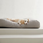 펫토 알러프리 방석 강아지 고양이 애견 쿠션 곡선형 스몰(47cm x 47cm) : 펫토