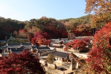 [안동]세계유산투어 속속들이 도산서원, 봉정사 품격 있는 유산 여행  [1박2일] : 안동이랑