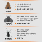 프로텍홈 290ml 디노테퓨란 퇴치제 빈대 날파리 초파리 해충 살충제 가정용 스프레이 : 다운market
