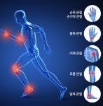 삼성제약 삼성쌩쌩관절보단 4g x 32환 글루코사민 관절 연골건강 : 박대표마켓