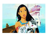 9종 DIY 보석십자수 포카혼타스 애니메이션 만화 다이아몬드 페인팅 비즈 큐빅 아이러브페인팅 명화그리기 G0205 : 포에버16