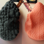 태양의료기 폐비교모형 금연교육 흡연예방 흡연자의폐 교구세트 : 인체모형닷컴