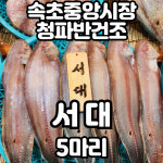 서대5마리( 30cm내외) 속초 청파 반건조 생선 말린생선 구이 조림 속초중앙시장 진공포장 : 속초청파반건조