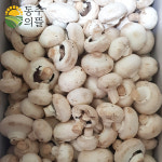 [농장직송] 보령 못난이 양송이버섯 파지 2kg : 동주의뜰