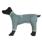 2024 알파아이콘 핫독가드 미네랄 그린X멜론 Alphaicon Hot Dog Guard Mineral Green Melon : 갱스터도그