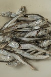 두식이네해물 완도 햇멸치 500g 지리멸치, 가이리멸 고바멸치 다시멸치 국멸 디포리 세멸 : 두식이네해물