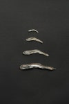 두식이네해물 완도 햇멸치 500g 지리멸치, 가이리멸 고바멸치 다시멸치 국멸 디포리 세멸 : 두식이네해물