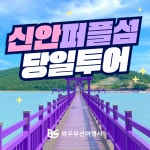 와우부산여행사 [부산출발]  신안 퍼플섬  당일 테마여행 버스투어 패키지 : 와우부산여행사