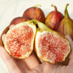 GAP 달구르 홍무화과 산지직송 해남 햇 생 무화과 1kg : 직접마켓