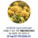 루테인 아스타잔틴 지아잔틴 마리골드꽃 추출물 눈건강 : 도니조아