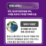 강아지 눈영양제 에버모어 브라이트닝 포뮬러 눈앤덴탈 150g, 1개 : 고당도몰