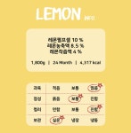 런던브릭스 레몬 에이드 농축액 1.8kg 6개(1박스) : 유니 공간