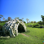 [연천파주-버스] 10/3 4 8 재인폭포 전곡시장 율곡수목원구절초 갈대 코스모스 가을여행 : 그린스토리투어