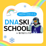 [DNA스키횡성] 웰리힐리스키강습2 : 디앤에이 엑티비티 스쿨