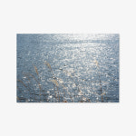 [Postcard 13] 한강 윤슬엽서 Waves of Memories : 마이오운밸류